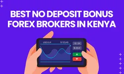 Best Forex Brokers With Withdrawable No Deposit Bonus