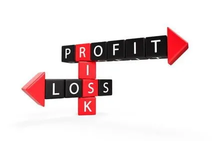 financial ratio with profit risk and loss