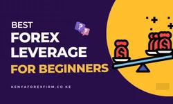 What is Leverage in Forex Trading?