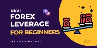 What is Leverage in Forex Trading?