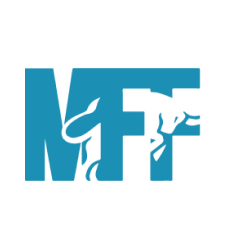 logo of MyForexFunds which is is one of the best prop firms in Kenya